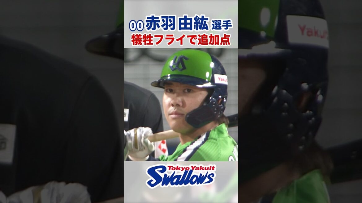 赤羽由紘選手 犠牲フライで追加点 #swallows #赤羽由紘  #shorts