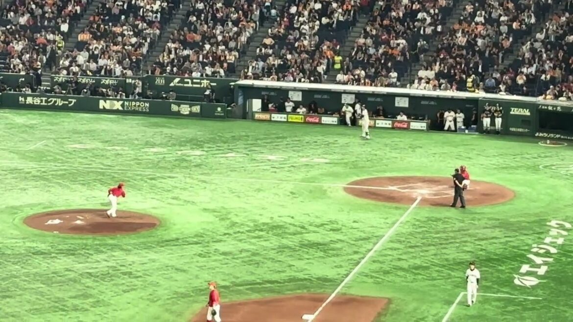 鈴木健矢（広島東洋カープ）投球練習