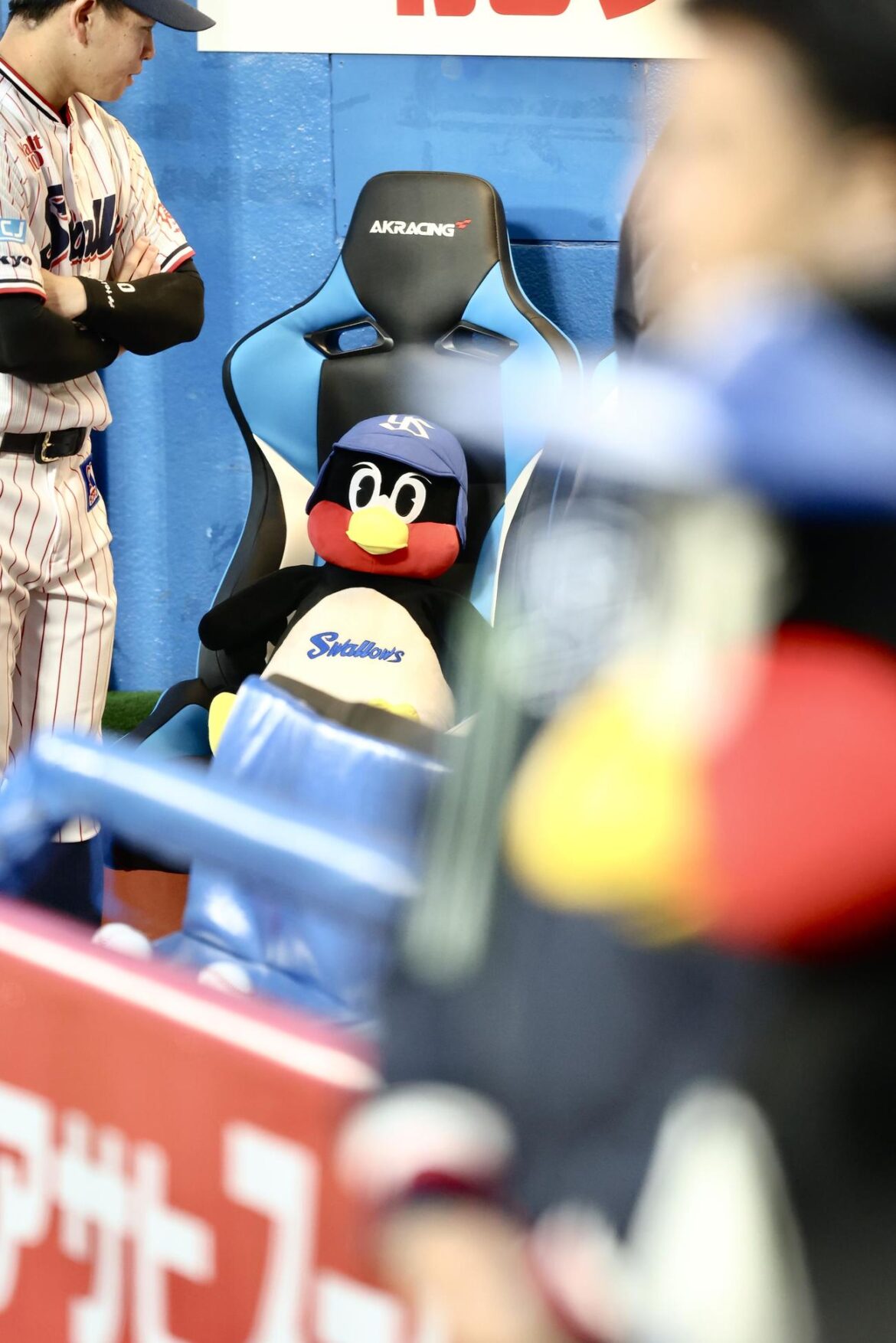 ヤクルト対広島　開始前、ベンチに座るつば九郎のぬいぐるみ（撮影・河田真司）