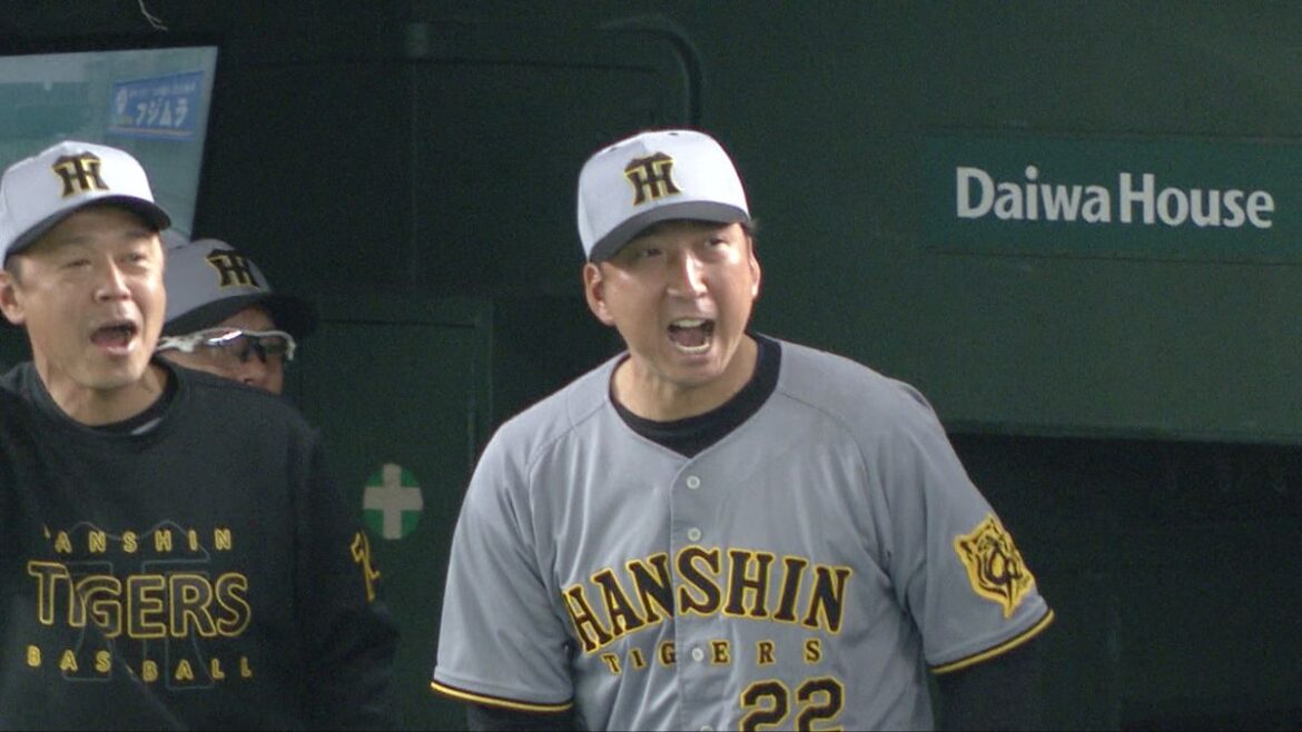 日本テレビ放送網