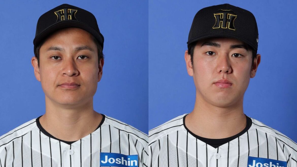 日本テレビ放送網