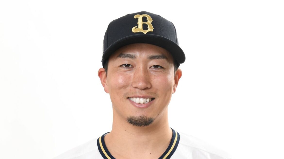 日本テレビ放送網