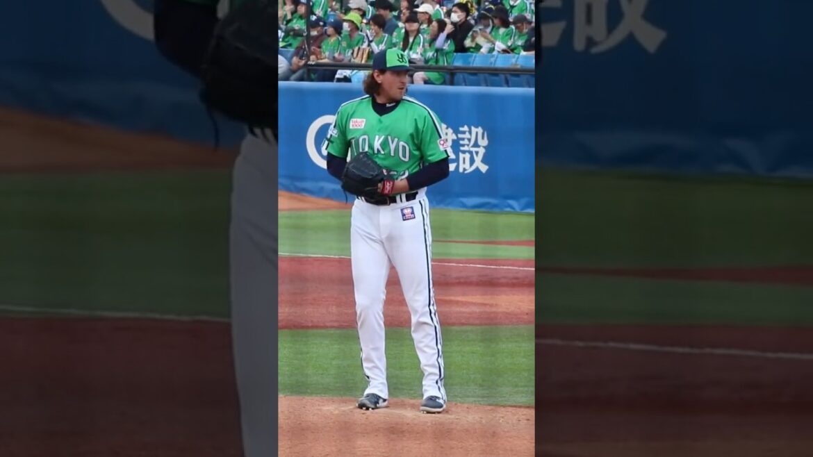 バウマン 4番手 東京ヤクルトスワローズ 2025.4.29