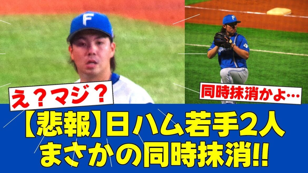 【緊急措置】日ハム金村&上川畑が出場選手登録抹消…ファン騒然【日ハムファンの反応】【F速報】 【緊急措置】日ハム金村&上川畑が出場選手登録抹消…ファン騒然【日ハムファンの反応】【F速報】