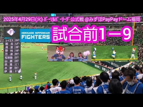 20250429 レイエス1番!北海道日本ハムファイターズの試合前1-9応援歌メドレー 鳴り物・声出し応援1-9【フレップ、ファイターズガール参戦】@みずほPayPayドーム福岡・レフト外野 20250429 レイエス1番!北海道日本ハムファイターズの試合前1-9応援歌メドレー 鳴り物・声出し応援1-9【フレップ、ファイターズガール参戦】@みずほPayPayドーム福岡・レフト外野