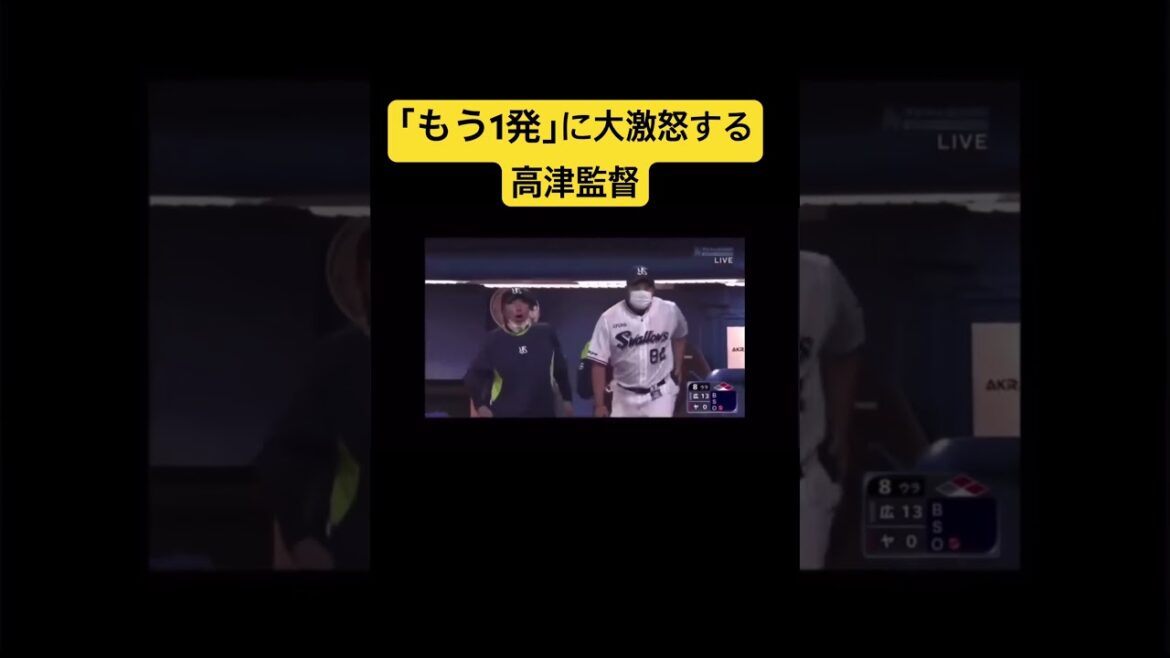 大激怒する高津監督 #プロ野球 #高津臣吾 #ヤクルトスワローズ #広島東洋カープ #shorts