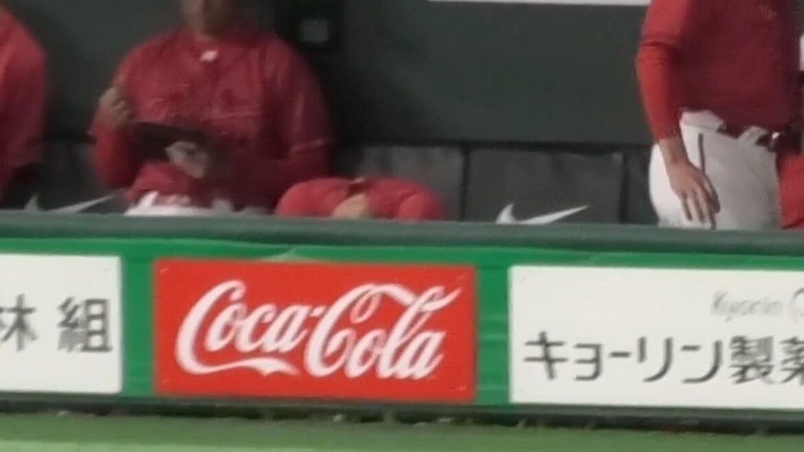 小園海斗がまさか…ゲームセットのはずが痛恨悪送球後、ベンチでうなだれ悔しがる！広島東洋カープvs読売ジャイアンツ 2025年4月29日