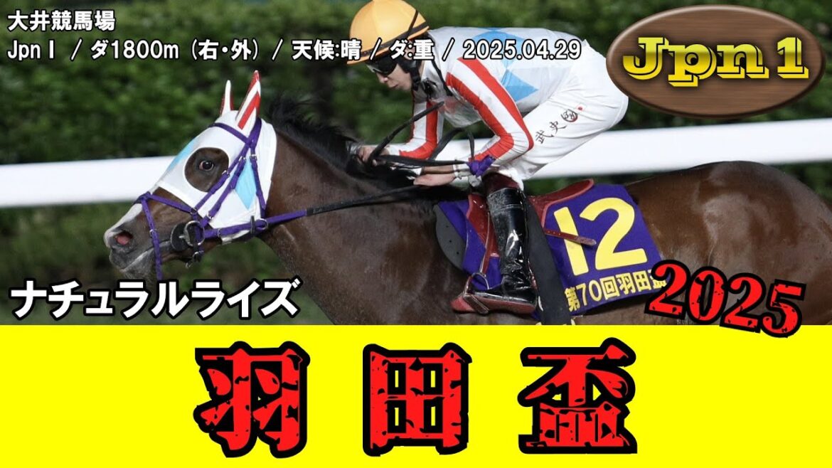 【競馬】 羽田盃 （大井・ダートクラシック） 2025 / ナチュラルライズ