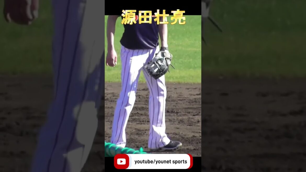 捕ってからが速すぎる源田壮亮【侍ジャパン】 #源田壮亮 #侍ジャパン #守備職人