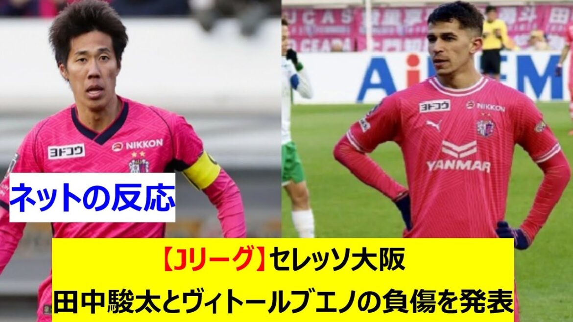 【Jリーグ】セレッソ大阪 田中駿太とヴィトールブエノの負傷を発表 【Jリーグ】セレッソ大阪 田中駿太とヴィトールブエノの負傷を発表