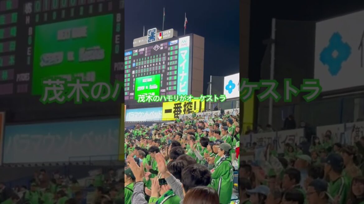 茂木の応援歌のハモリがオーケストラ #ヤクルト #茂木栄五郎