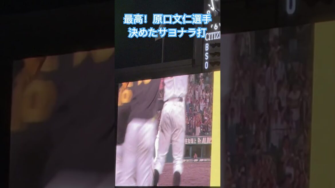 #tigers #原口文仁 選手サヨナラ打 #阪神甲子園球場