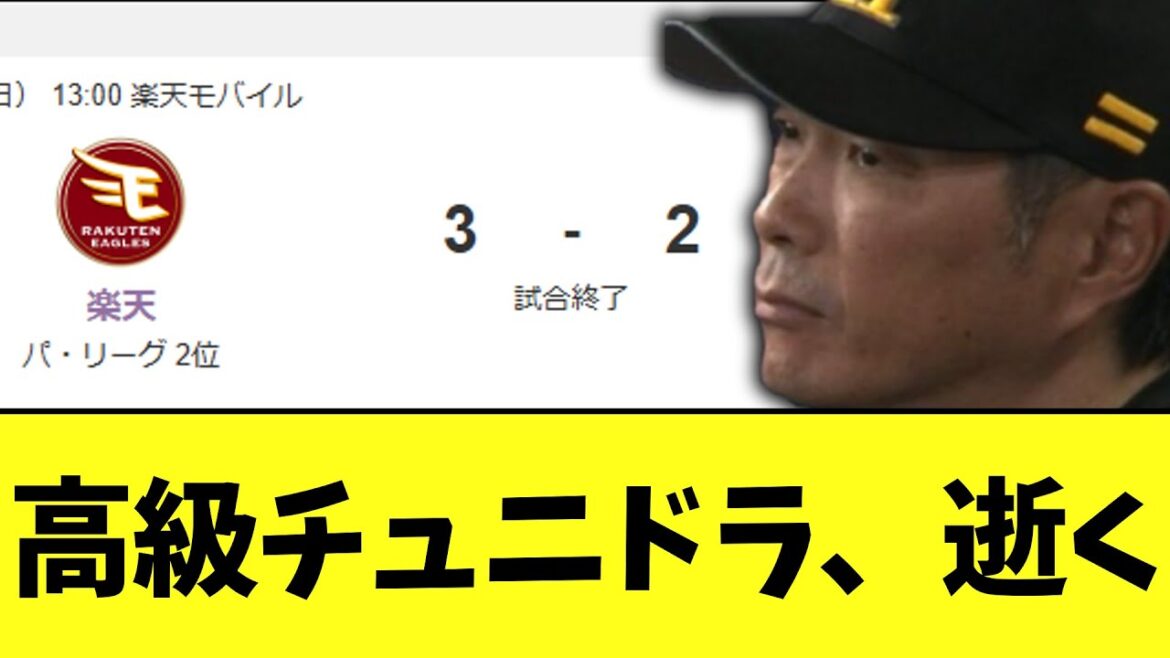 【悲報】高級チュニドラ、普通に逝く