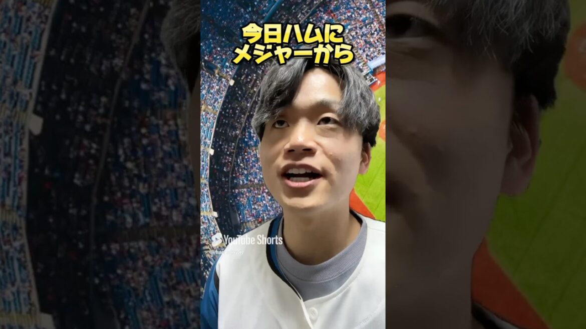 【帰ってきて】メジャーから日ハムに帰ってきて欲しい選手はこの人！#プロ野球 #プロ野球ニュース #パリーグ #北海道日本ハムファイターズ #大谷翔平 #ダルビッシュ有 #youtubeshorts