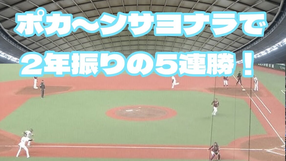 【西武ライオンズ】笑っちゃうお粗末プレイでラッキーなサヨナラ勝ちで5連勝
