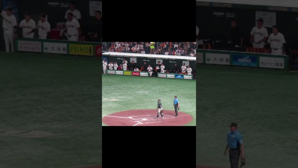 【巨人ベンチ】八回 丸佳浩ヒットで満塁 盛り上がるベンチ（ 読売ジャイアンツ対 ヤクルトスワローズ 2024年8月2日）