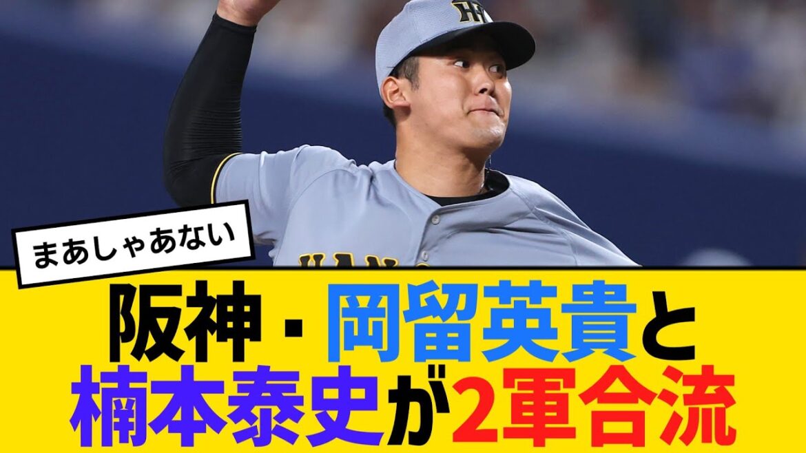 阪神・岡留英貴と楠本泰史が2軍合流 登録抹消へ 【ネットの反応】【反応集】 阪神・岡留英貴と楠本泰史が2軍合流 登録抹消へ 【ネットの反応】【反応集】