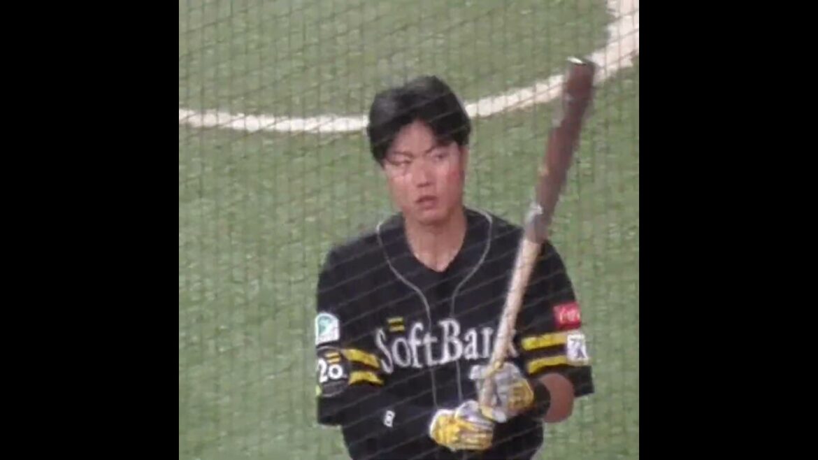 渡邉 陸　高い所と狭い所は苦手です　#福岡ソフトバンクホークス #shorts