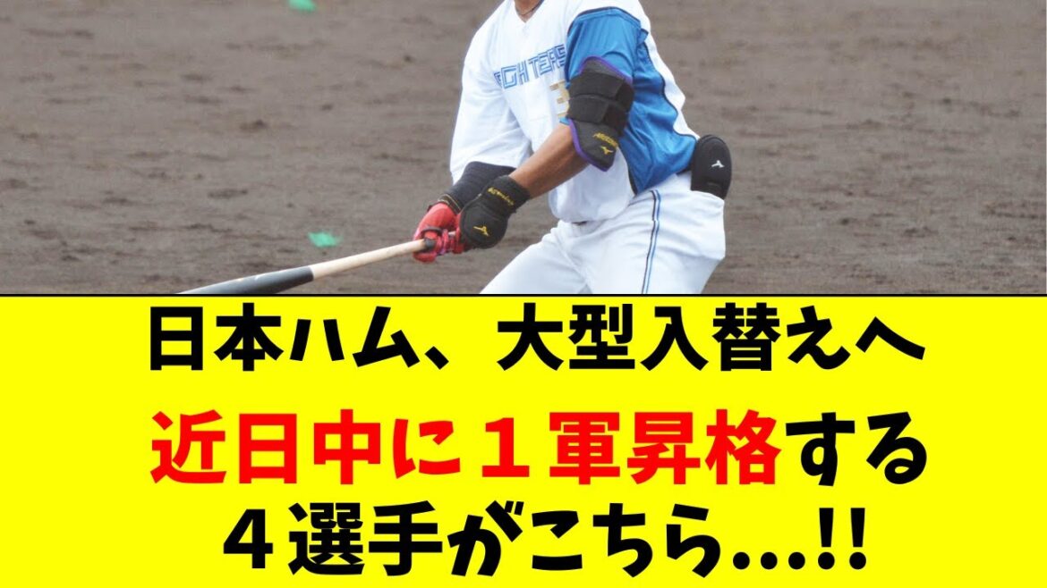【日ハム】大型入替え！2軍降格候補２人、1軍昇格候補４人