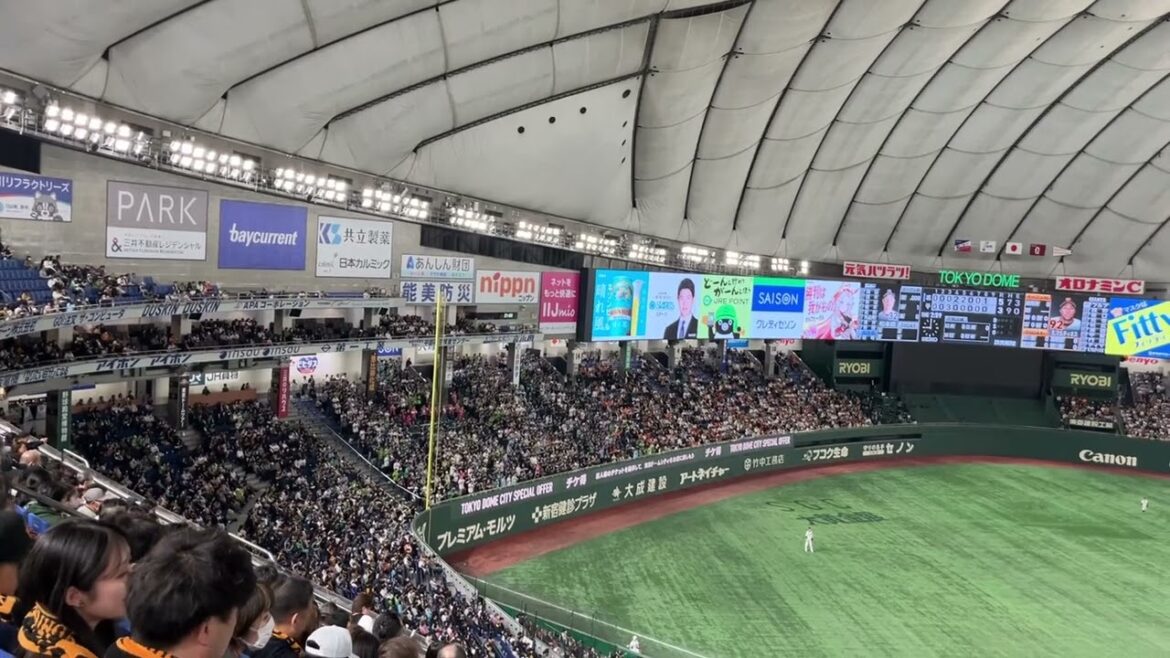 2025 ヤクルト 松本直樹 応援歌