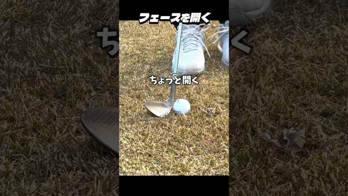 【初心者必見】フェースの正しい開き方と練習ポイント #shorts #golf #ゴルフ 【初心者必見】フェースの正しい開き方と練習ポイント #shorts #golf #ゴルフ