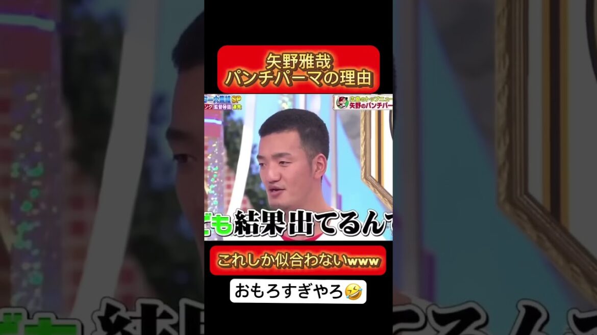 【プロ野球】広島カープ矢野雅哉がパンチパーマの理由がおもしろすぎる...www #野球 #プロ野球
