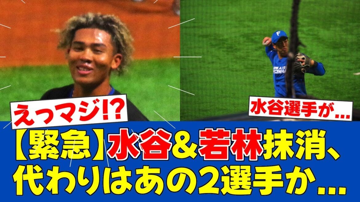 【朗報＆悲報】水谷瞬選手と若林晃弘選手が抹消 代わりに有望選手が昇格か【日ハムファンの反応】【F速報】
