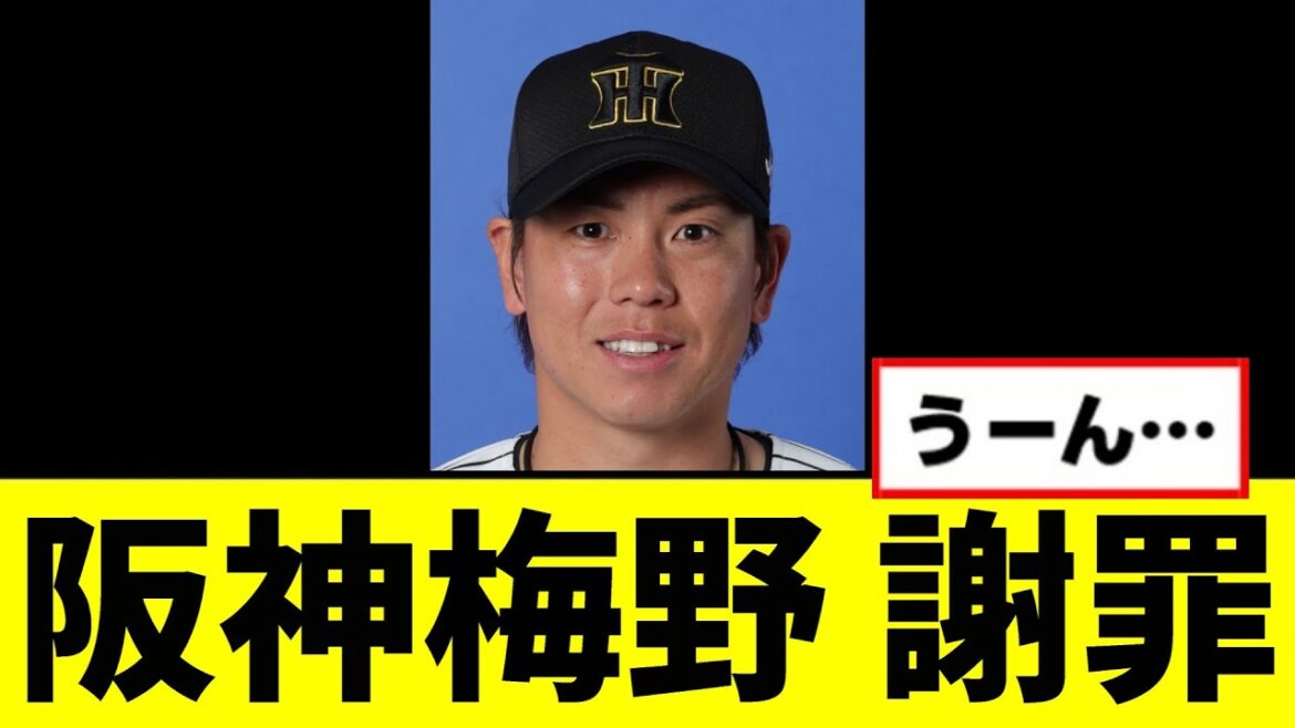 【阪神】梅野が謝罪するwwwww