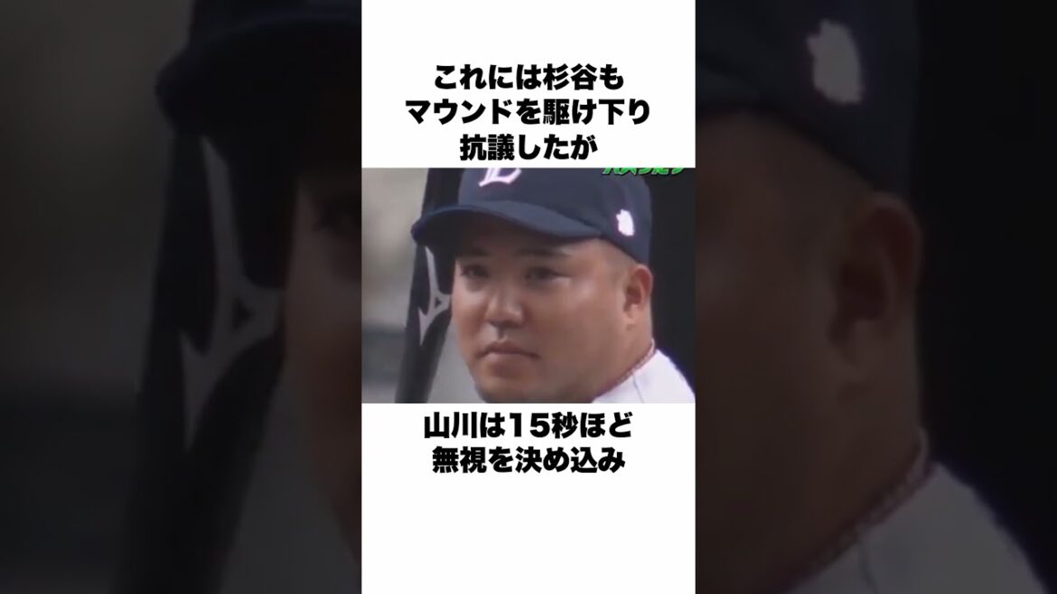 「無職の杉谷拳士です」と自己紹介した杉谷拳士についての雑学 #野球 #野球雑学 #北海道日本ハムファイターズ