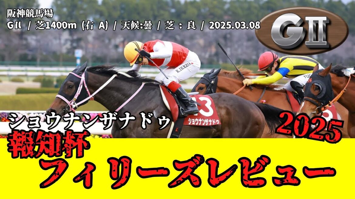 【競馬】 報知杯 フィリーズレビュー(桜花賞トライアル) 2025 / ショウナンザナドゥ 【競馬】 報知杯 フィリーズレビュー(桜花賞トライアル) 2025 / ショウナンザナドゥ