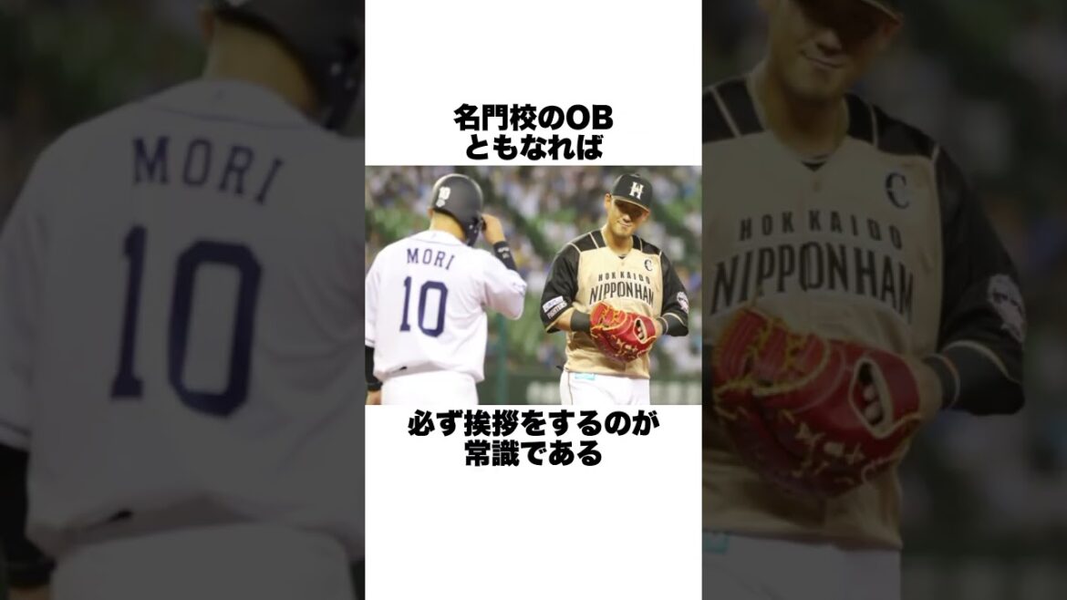 「威圧感だけで盗塁阻止」大阪桐蔭出身の中田翔と森友哉についての雑学 #野球雑学 #野球#日本ハムファイターズ