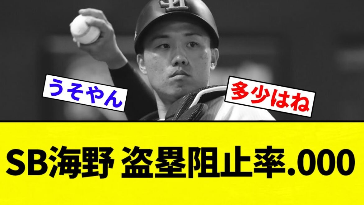 【フリーパスや】ソフトバンク海野隆司、盗塁阻止率.000ｗｗｗｗｗｗｗｗｗｗｗ【プロ野球反応集】【2chスレ】【なんG】