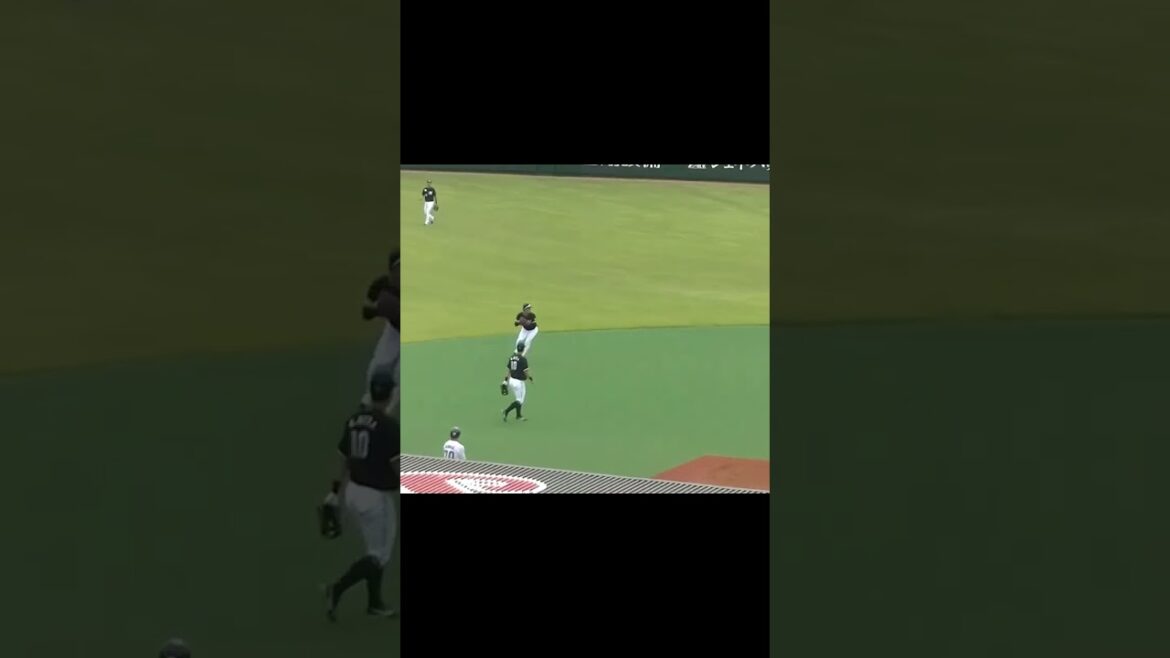 濵田太貴の打球 松石信八が強肩2024年5月12日  ヤクルトスワローズ対ロッテマリーンズ