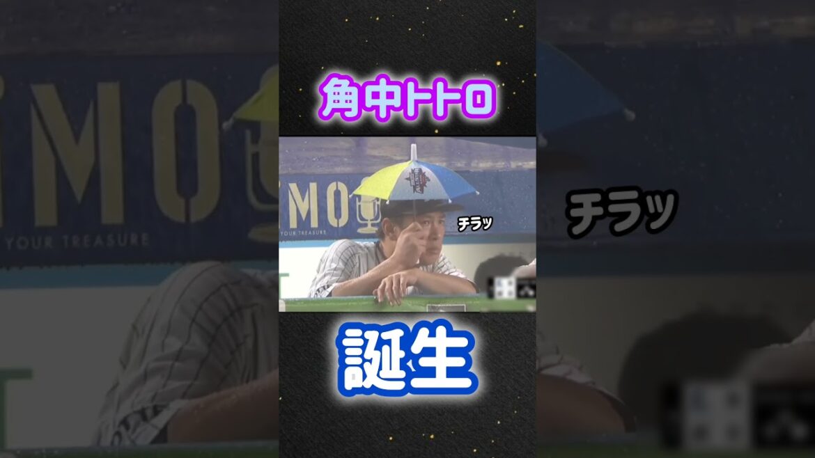 角中トトロ誕生 #トトロ #角中 #傘