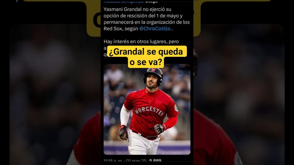 Yasmani Grandal toma decisión sobre su futuro con Red Sox #mlbnoticias #mlb #redsoxnews