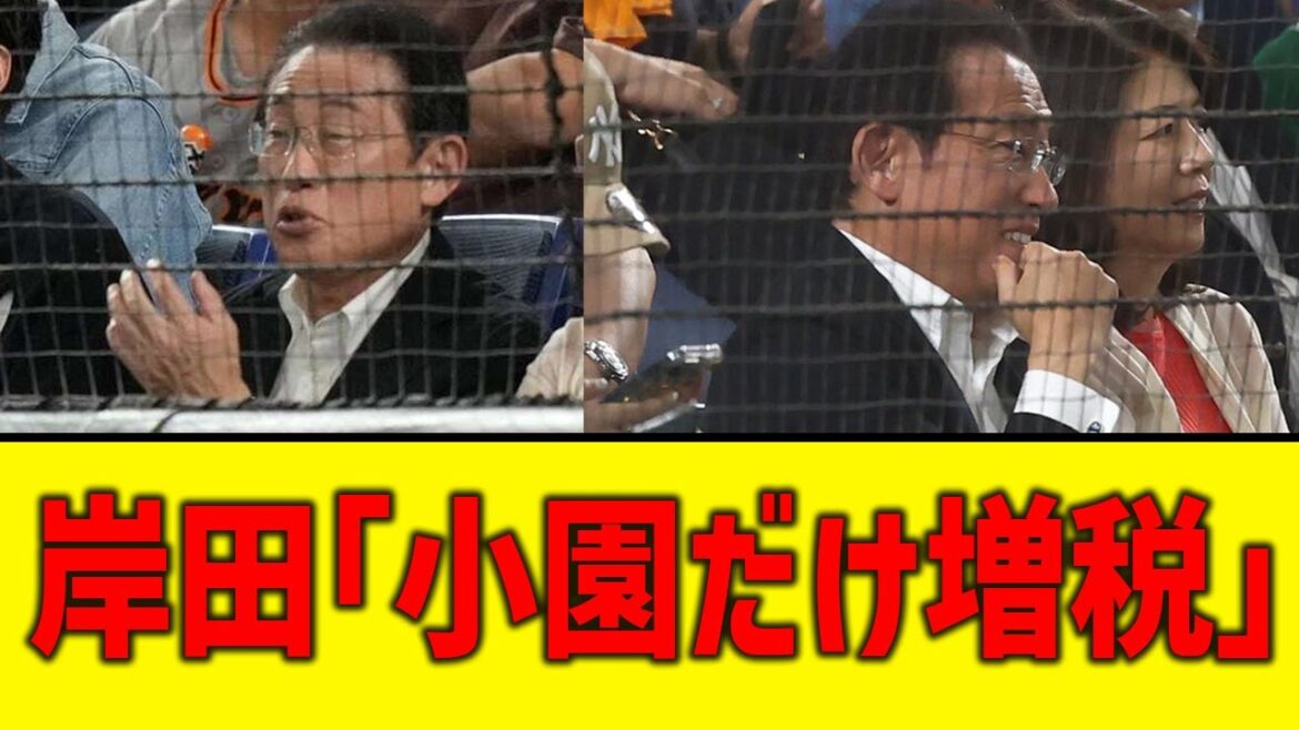 【巨人×広島】岸田文雄「小園に増税を検討」