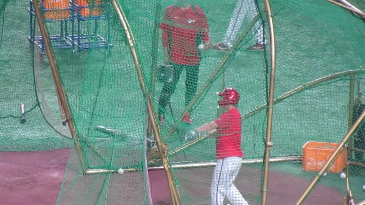 山足達也フリーバッティング＜読売ジャイアンツ 対 広島カープ 2025年4月30日＞