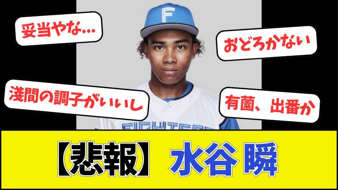 【悲報】日本ハム、水谷瞬 【悲報】日本ハム、水谷瞬