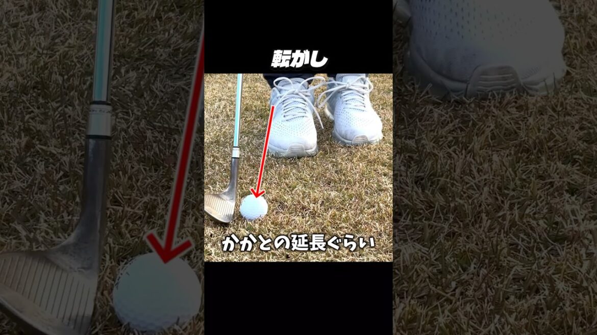 【初心者必見】転がすアプローチの基本とコツを解説 #shorts #golf #ゴルフ