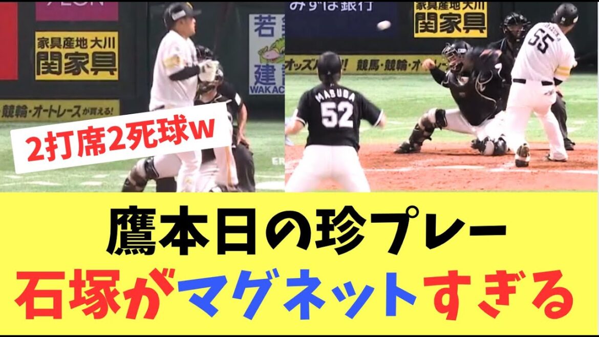 【珍プレー】マグネット石塚が本領発揮！死球ぶつけられまくる