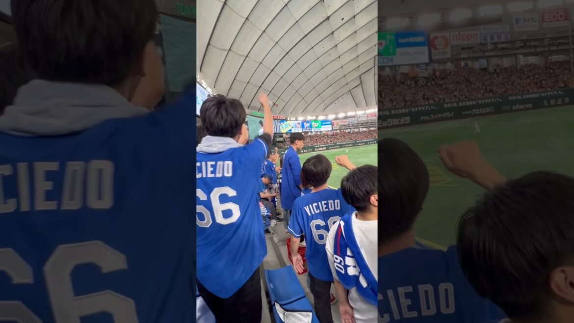 中日✨読売倒せドラゴンズ❤️‍🔥ビシエド66ユニ多い🔥東京ドーム　レフトビジター2024.9.15読売戦 3-6負け🔥#立浪  #中日 #読売