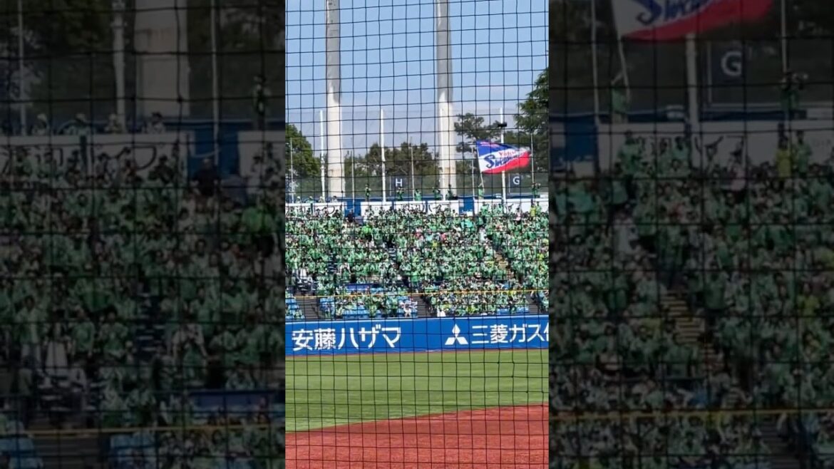 武岡龍世 応援歌 ハモリ 東京ヤクルトスワローズ