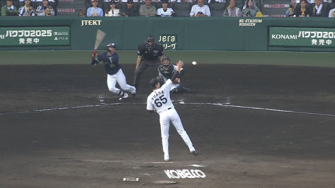 東京ヤクルトスワローズ 橋本星哉 プロ初ヒット 2025/5/3 阪神 vs. ヤクルト 6回戦 ＠甲子園