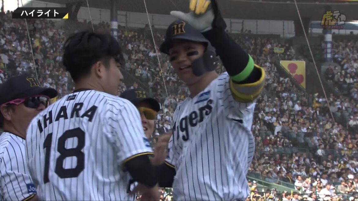 【ハイライト】2025/5/4(日・祝)阪神vsヤクルト(甲子園)