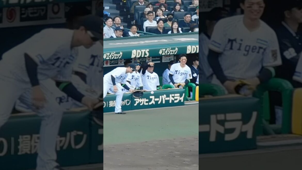 【おめでとう】伊原のプロ初安打のボールはしっかり阪神ベンチへ