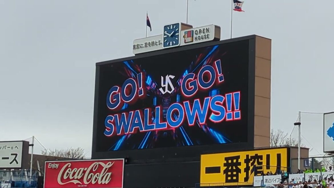 2025 東京ヤクルトスワローズ 赤羽由紘 登場曲