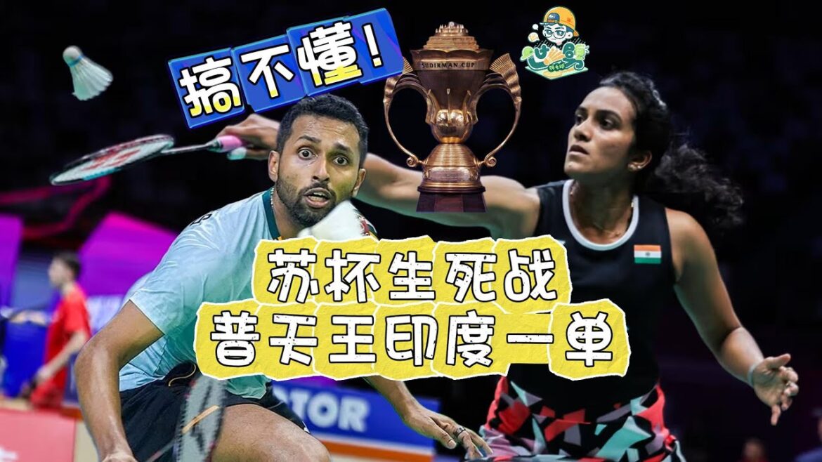 谁能告诉我苏杯生死战为什么印度让普天王做一单？