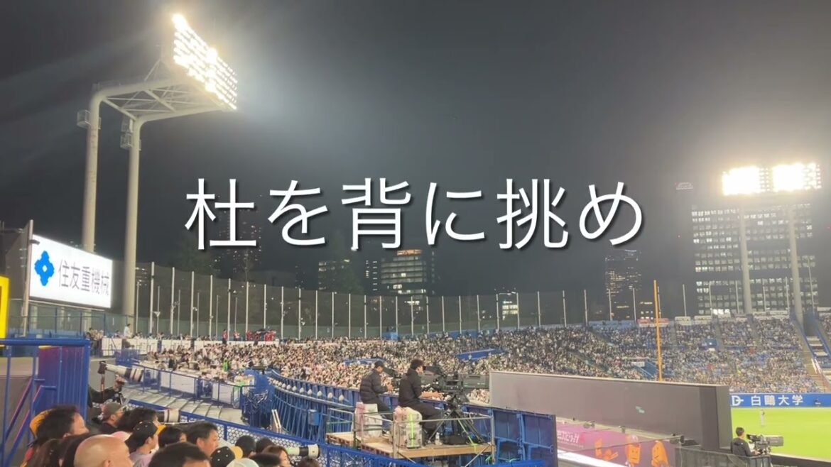 【2025新曲】2025/4/17 ヤクルト　茂木栄五郎　コール→応援歌