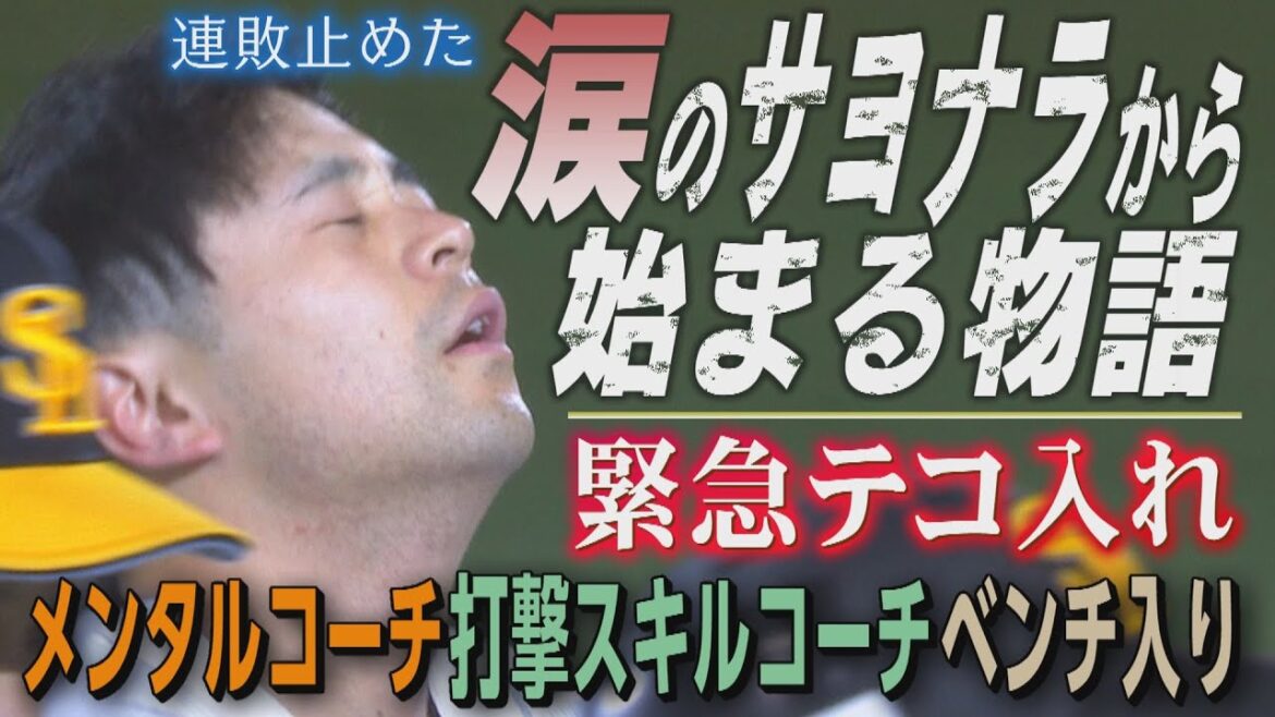 逆襲への起点となるか？川瀬晃が決めた代打逆転ミラクルサヨナラ（2025/5/3.OA）｜テレビ西日本