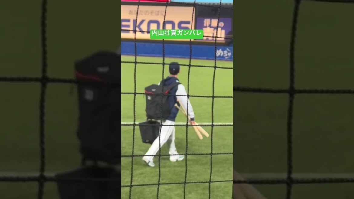 内山壮真ガンバレ！ヤクルトスワローズ